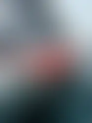Oliver Heer (Oliver Heer Ocean Racing) termine 25ème IMOCA dans la Transat CIC "J'ai vécu un cauchemar".