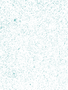 Texture-Back-BLEU.png